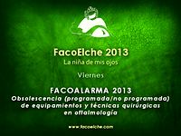 FacoAlarma 2013