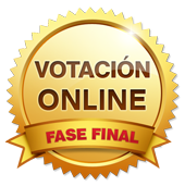 Votación online - Fase Final