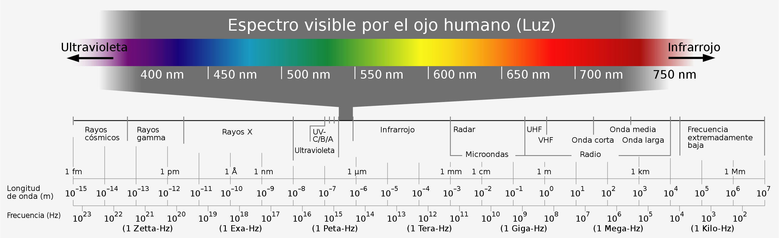 Espectro lumínico y oftalmología: Controversias con el filtro azul y otras patologías FacoElche.com